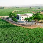 La finca de la bodega Hispano+Suizas, productora de cava, en Requena