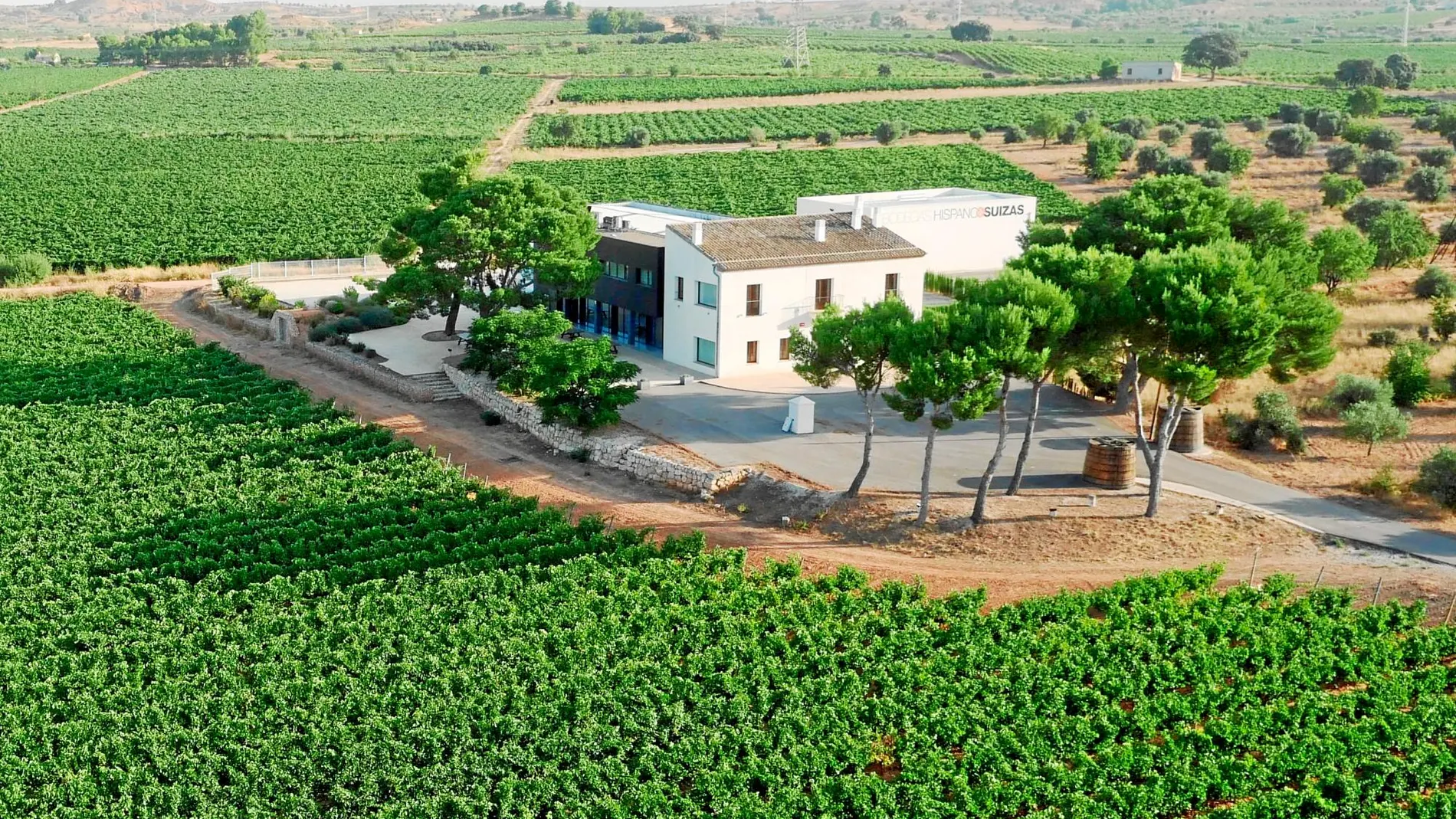 La finca de la bodega Hispano+Suizas, productora de cava, en Requena