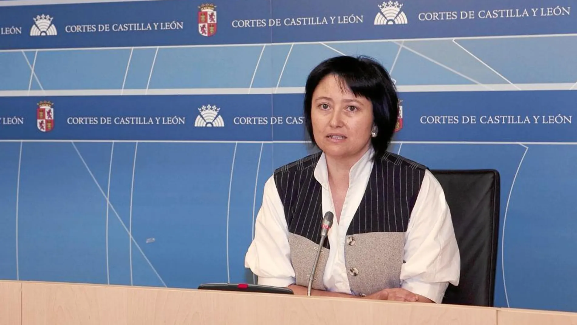 La portavoz de Educación del PSOE en las Cortes, Ángela Marqués