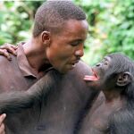 Un bonobo interactuando con uno de sus cuidadores / EPA