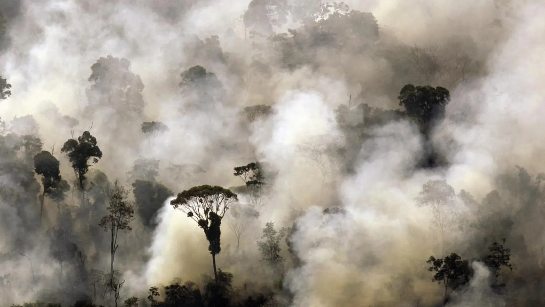 Un incendio en el Amazonas, en una imagen de archivo / Reuters