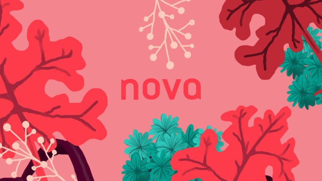Color y frescura en la nueva identidad de Nova