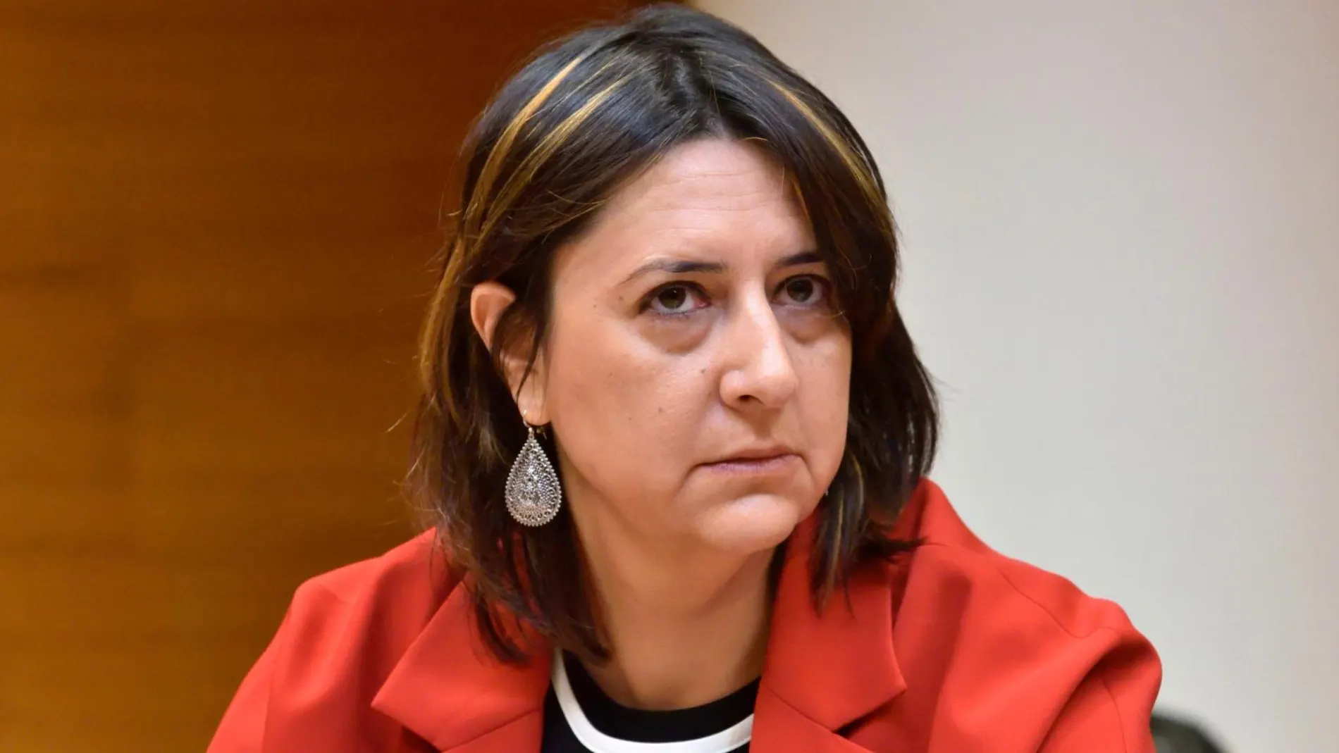 La consellera de Participación valenciana, Rosa Pérez Garijo, de Esquerra Unida