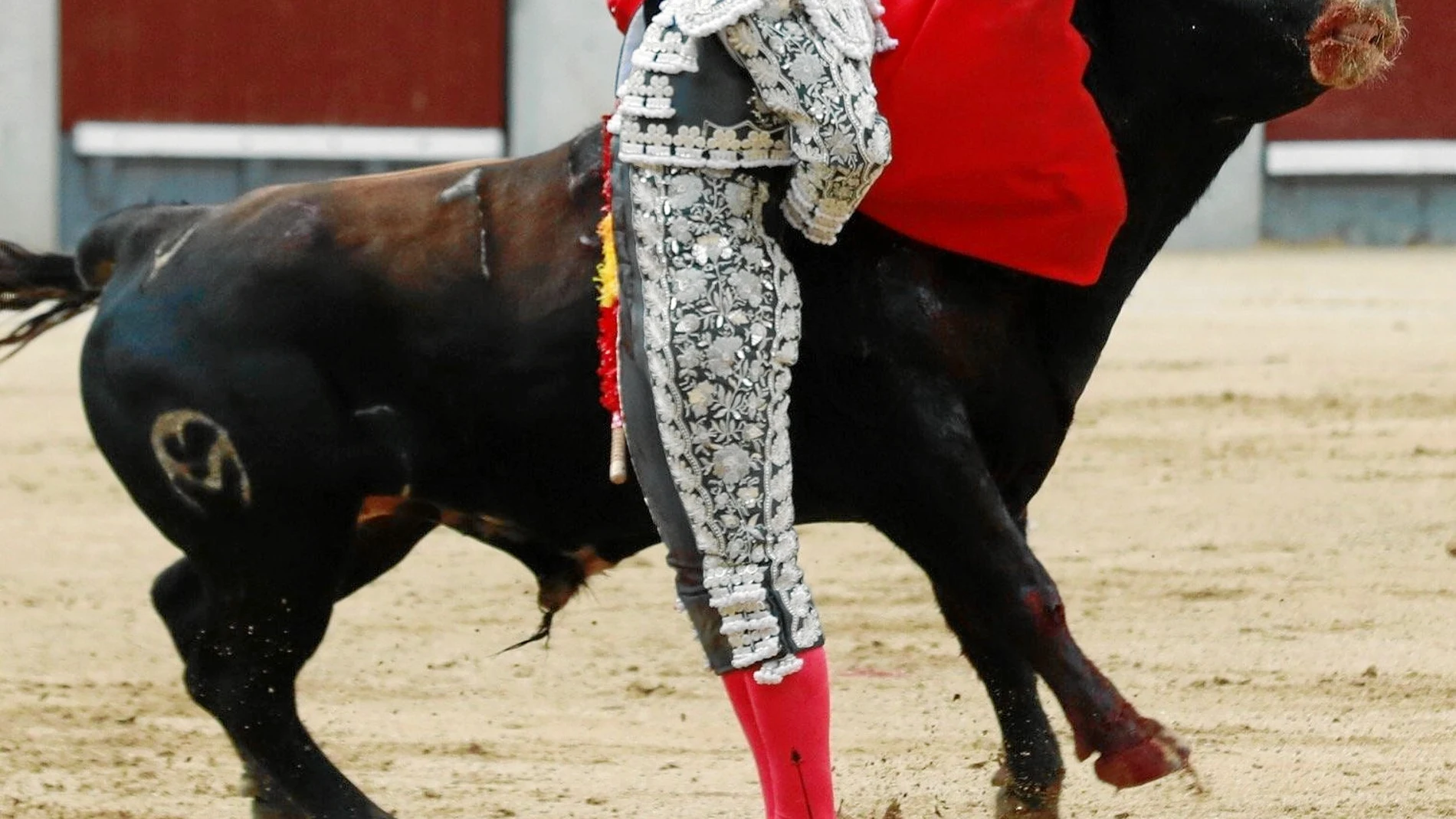 Rafael González cortó una oreja del cuarto toro de la tarde, ayer en la Monumental de Las Ventas. Foto: Luis Díaz