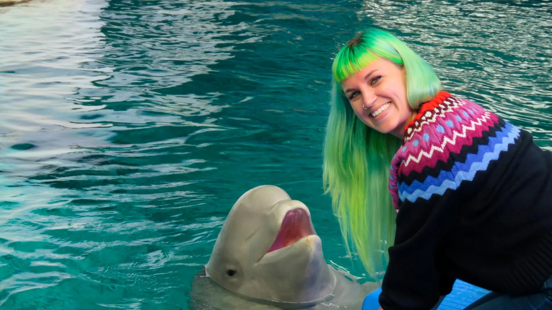 Conocer el lenguaje puede ayudar a la conservación de las belugas y quizás esclarecer la causa de la alta mortalidad de algunas poblaciones salvajes