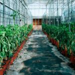 Las instituciones que se encargan de formar a los futuros profesionales son conscientes de que el sector de la agronomía y el medio natural avanza rápidamente en una sociedad tan cambiante como la que vivimos. LA RAZÓN