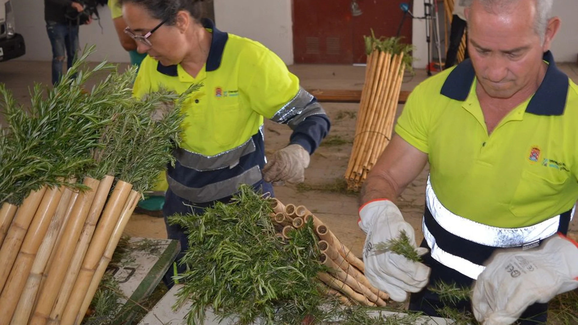 En la gráfica, los empleados municipales preparan las cañas embocadas con romero que los peregrinos portarán el jueves en la Romería de la Santa Faz, que saldrán de la concatedral de san Nicolas de Bari para terminar en el Monasterio