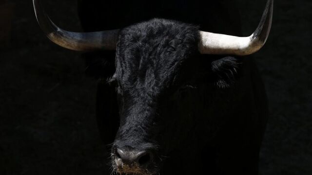Miura y Torrestrella cruzarán el charco en enero