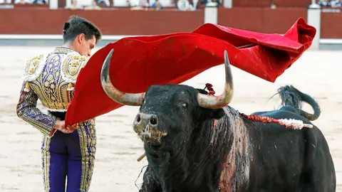 David Galván, en unas manoletinas al primero de la tarde, ayer en Las Ventas / Foto: Jesús G. Feria