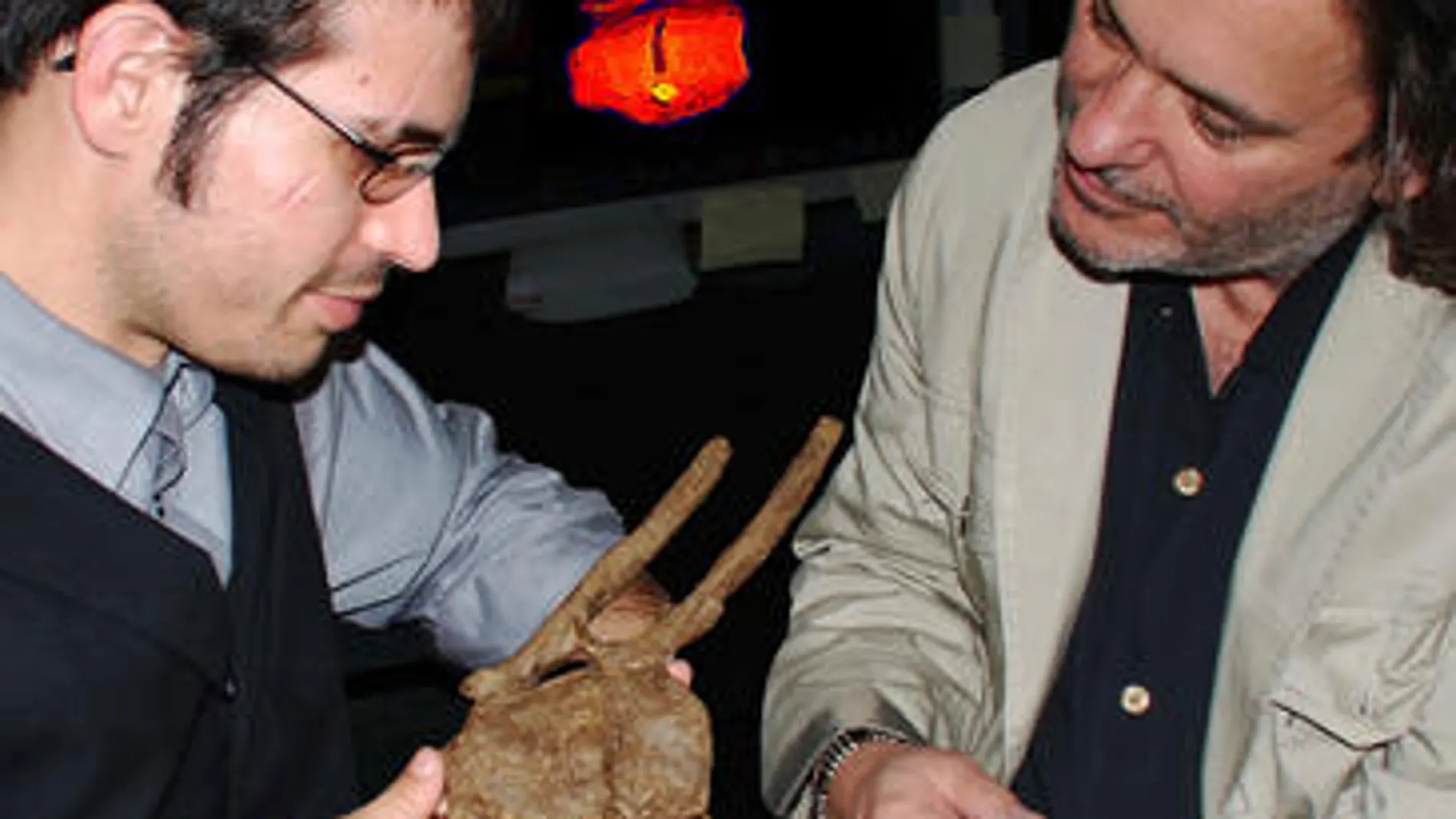 Investigadores señalan la corona dentaria de T. rex entre las vértebras de otro dinosaurio