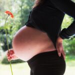 Tomar fructosa en el embarazo influye en la salud de la descendencia