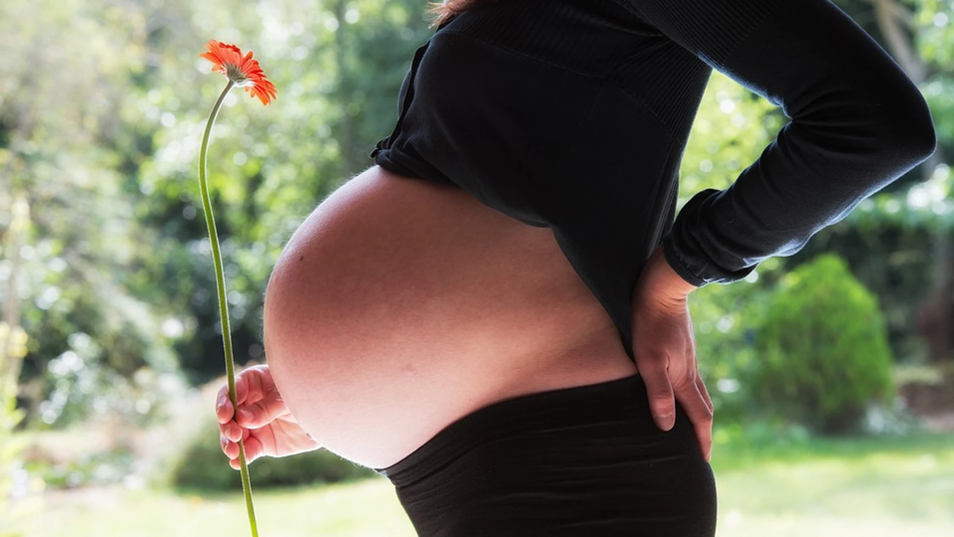 Tomar fructosa en el embarazo influye en la salud de la descendencia