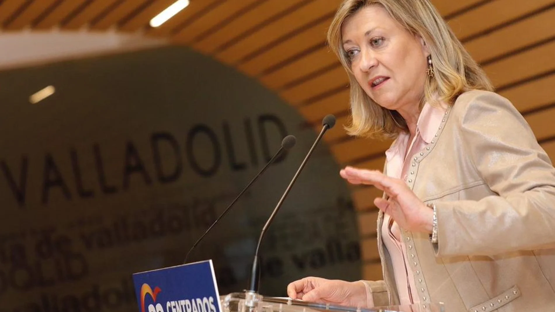 Pilar del Olmo desgranó los ejes para hacer de Valladolid una ciudad más sana