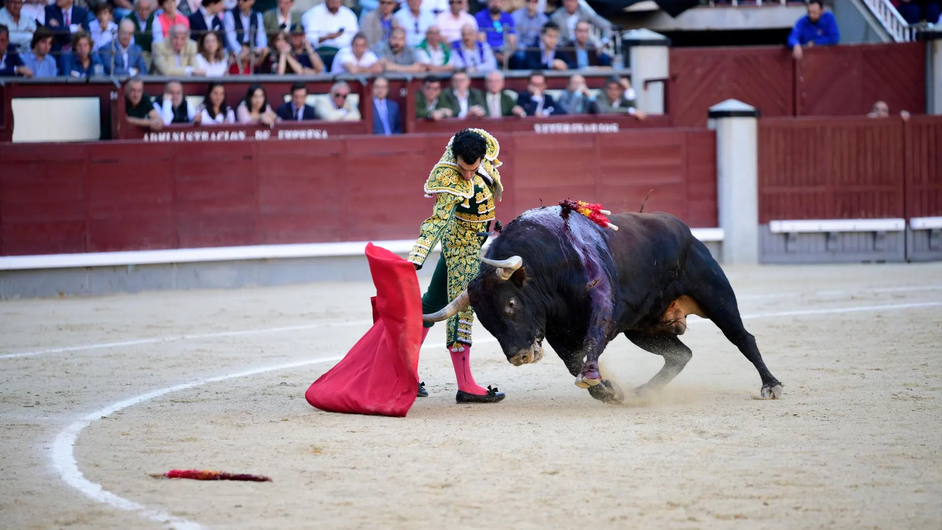 Morenito de Aranda en un derechazo hoy en Las Ventas a un toro de Fuente Ymbro / Foto: David Jar