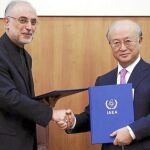 El responsable del programa atómico iraní, Ali Akbar Salehi (Izda.) saluda al presidente de la OIEA, Yukiya Amano