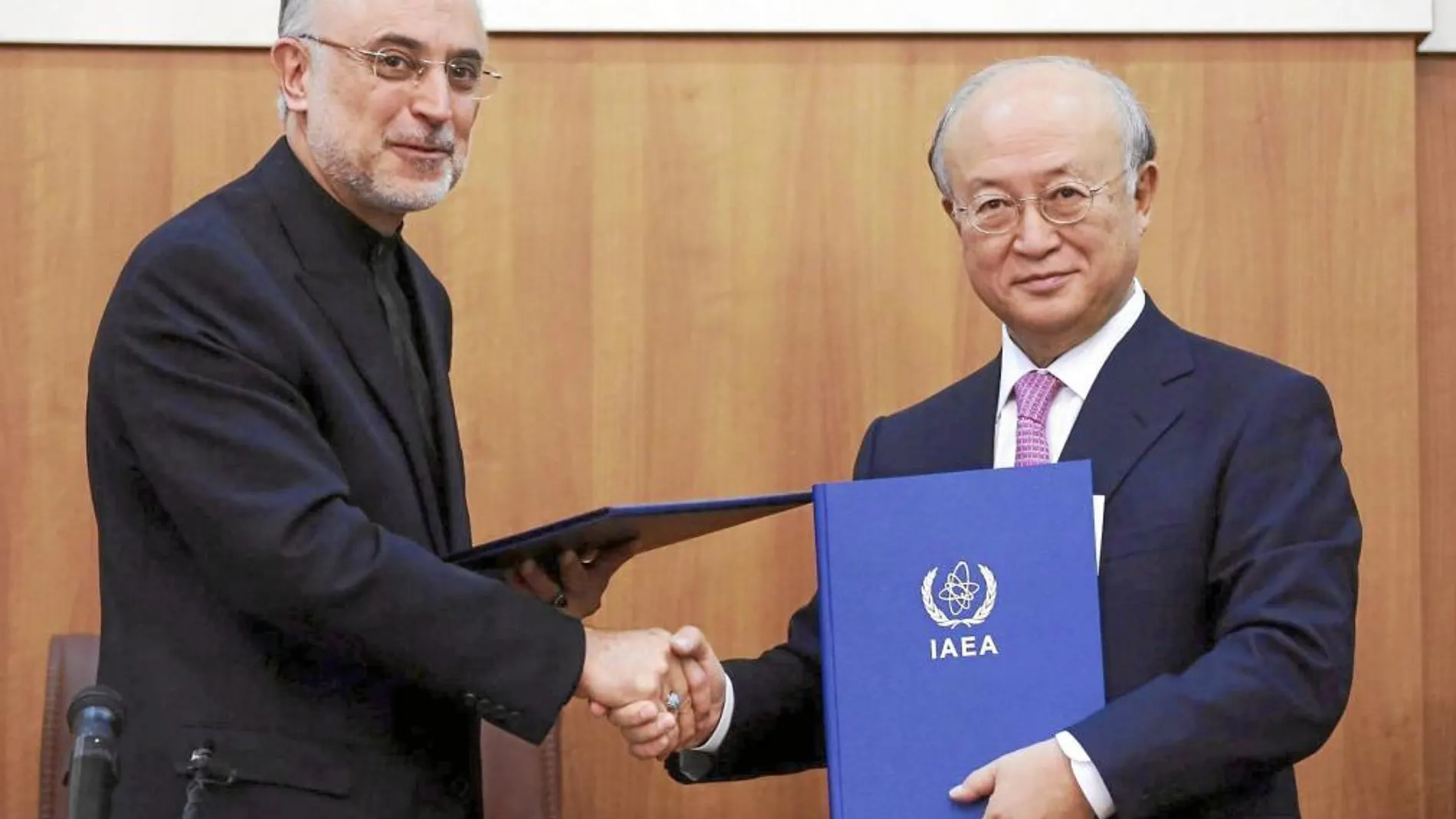 El responsable del programa atómico iraní, Ali Akbar Salehi (Izda.) saluda al presidente de la OIEA, Yukiya Amano