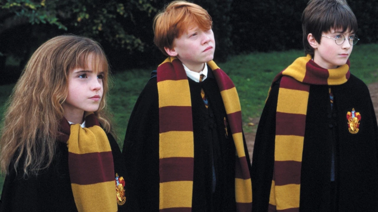 Chip Asesor Edad adulta Harry Potter cumple 20 años: 5 curiosidades de “La piedra filosofal”