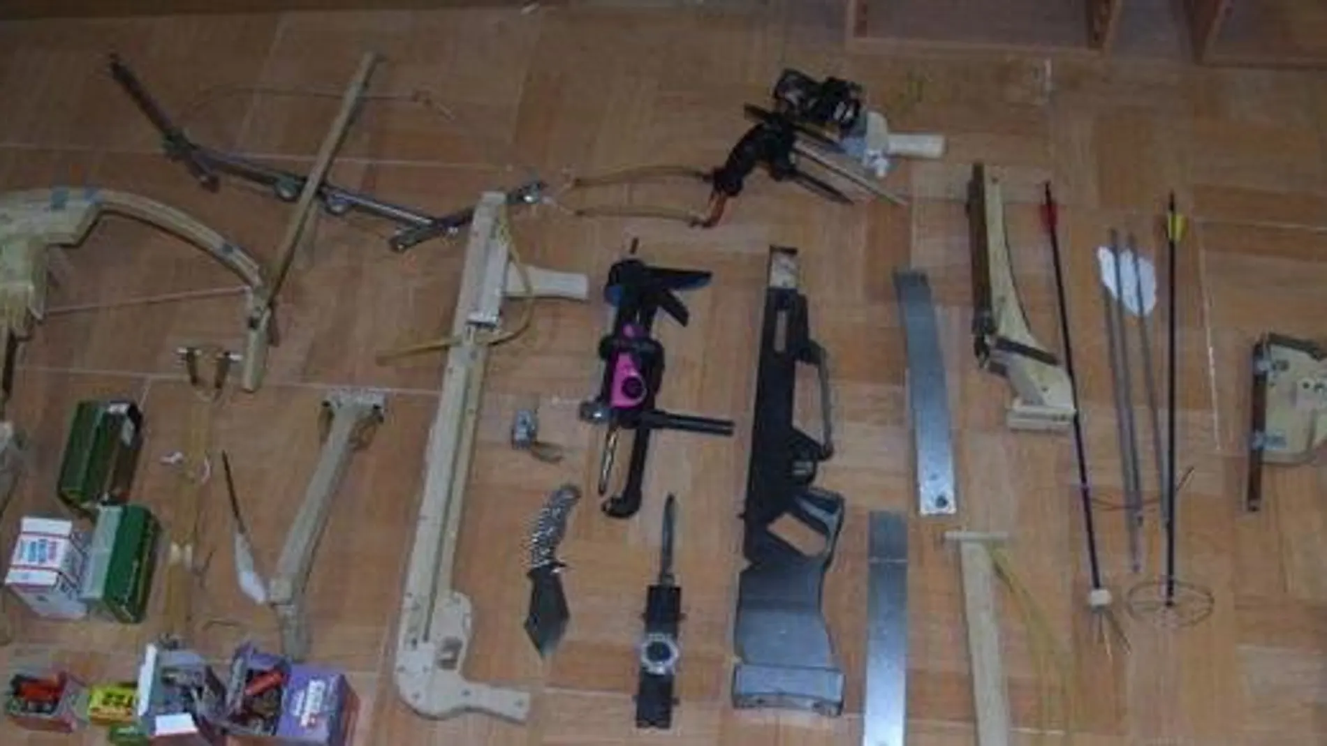 Imagen de las armas intervenidas