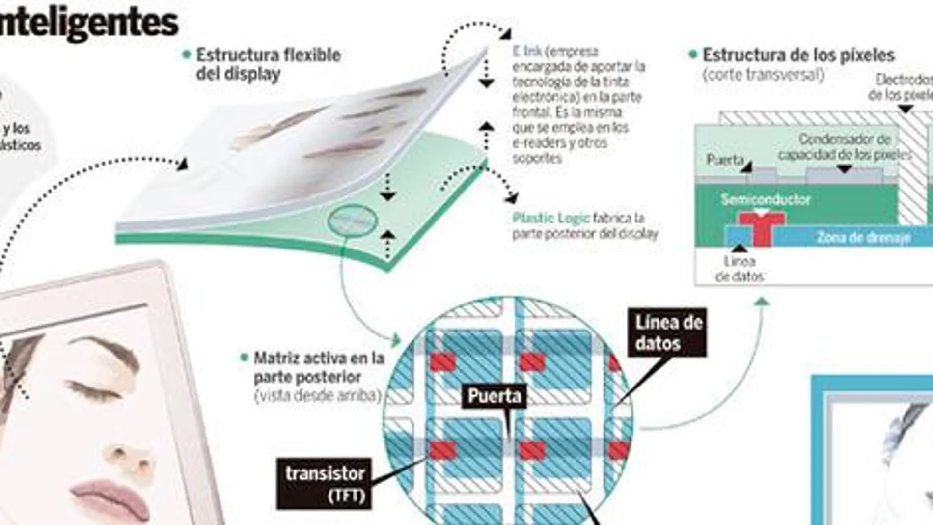 Electrónica plástica: las pantallas se vuelven flexibles