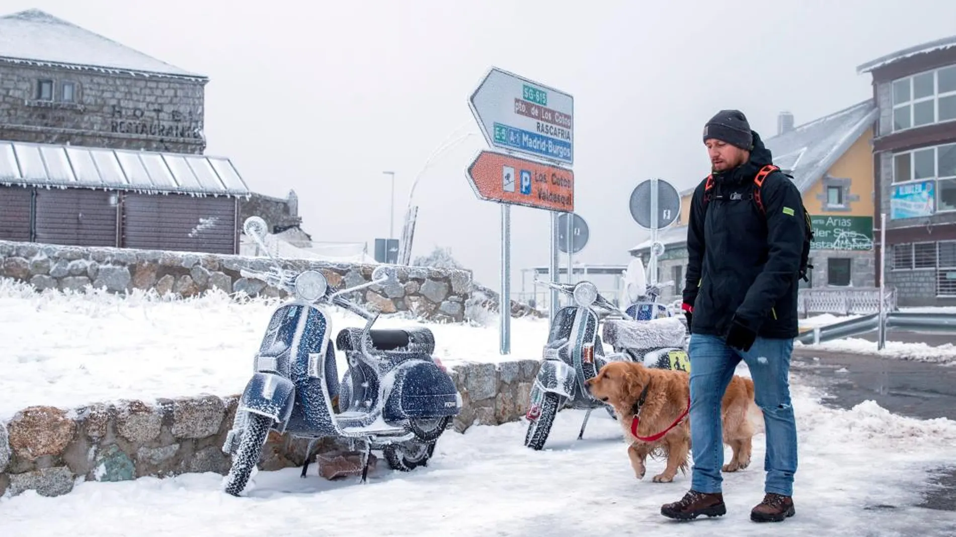 Una persona pasea con su perro en el puerto de Navacerrada en la primera nevada de la temporada en la Sierra de Guadarrama . EFE/Rodrigo Jimenez