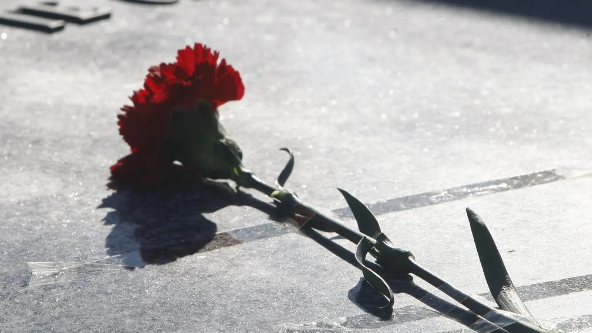 Flores el día de todos los santos en el cementerio de la Almudena de Madrid