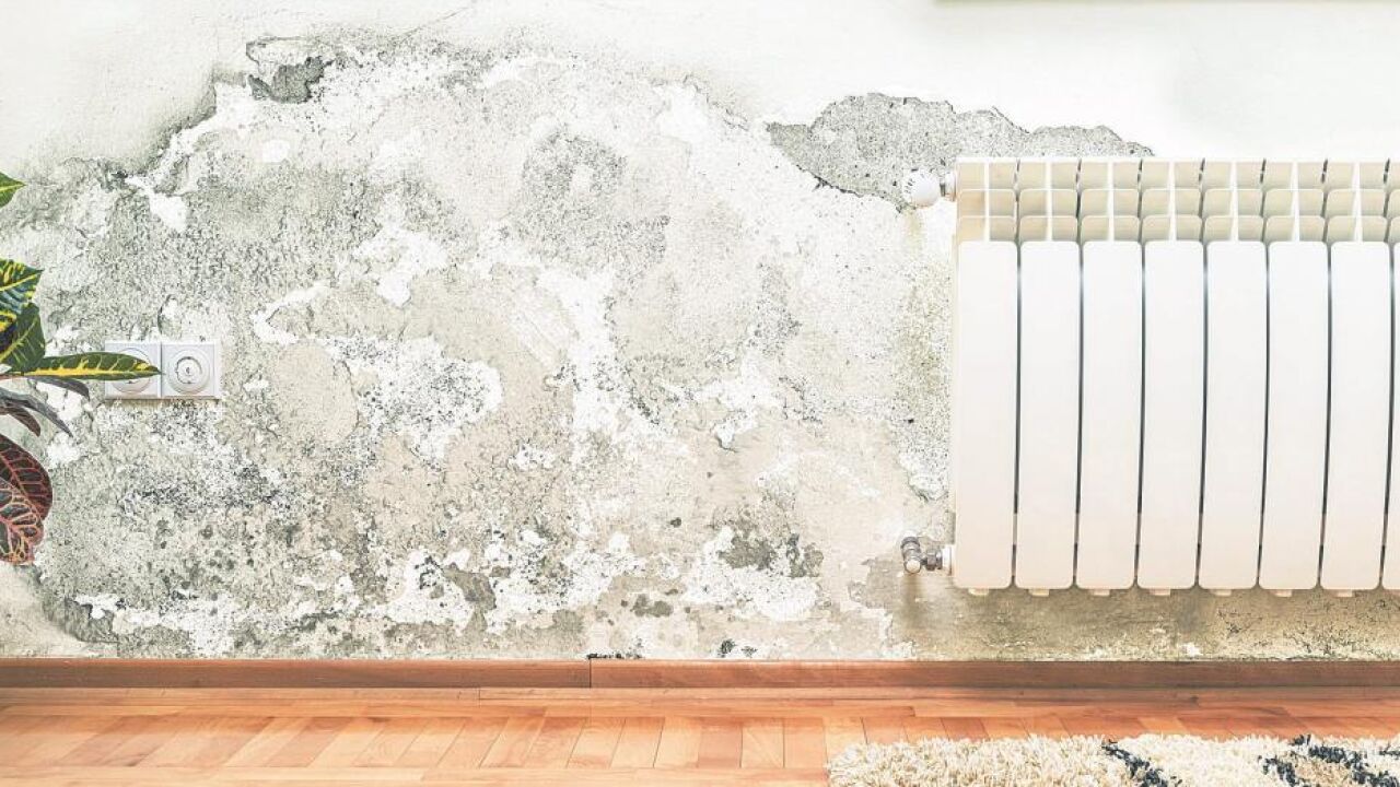 Is the landlord responsible? Time News