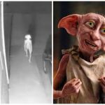 Una cámara de vigilancia capta una criatura idéntica a Dobby de ‘Harry Potter’