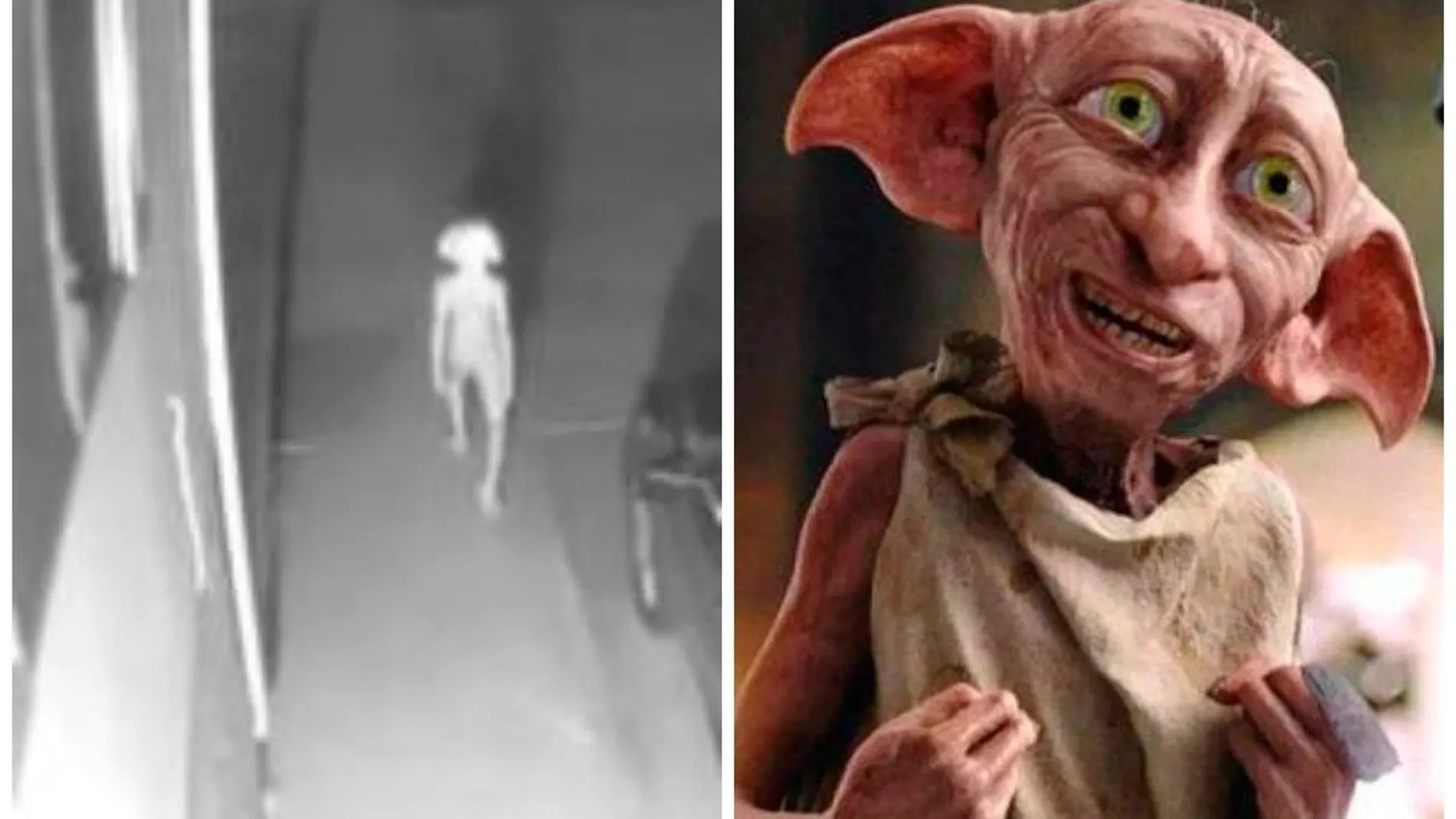 Una cámara de vigilancia capta una criatura idéntica a Dobby de ‘Harry Potter’