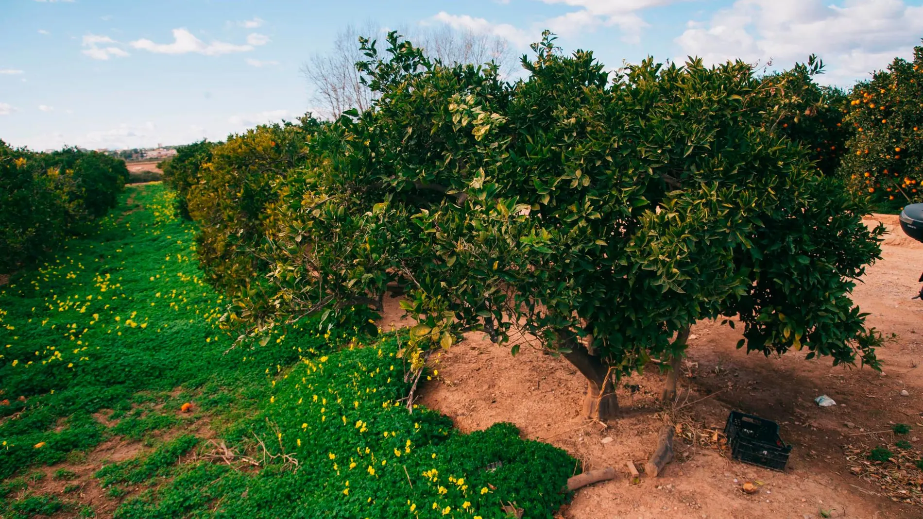 El pequeño agricultor preserva el entorno rural