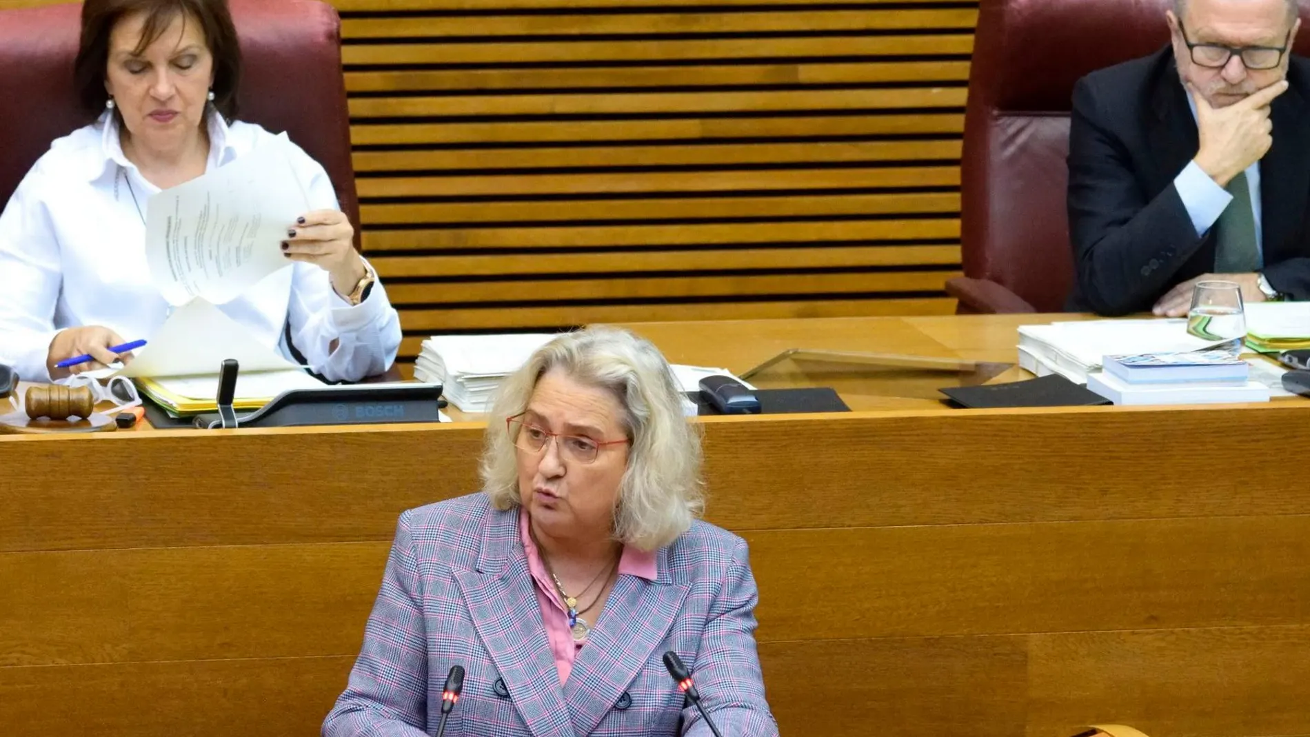 Maria José Ferrer San Segundo ha presentado la proposición no de ley a la Cámara