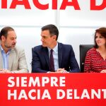 Comisión Ejecutiva del PSOE/Efe