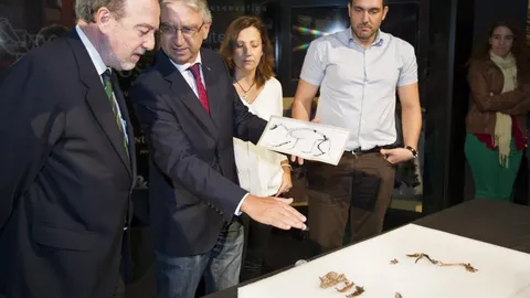 El director general de Patrimonio del Gobierno de Aragón, Luis Callizo; el director de la Fundación Conjunto Paleontológico Teruel-Dinópolis, Luis Alcala, y los investigadores de Dinópolis, Mª Dolores Pesquero y Manuel Salesa, de izda a dcha, junto a los restos de un nuevo género y especie de animal.