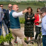 Participantes en el encuentro regional celebrado en los viñedos de Sardón de Duero