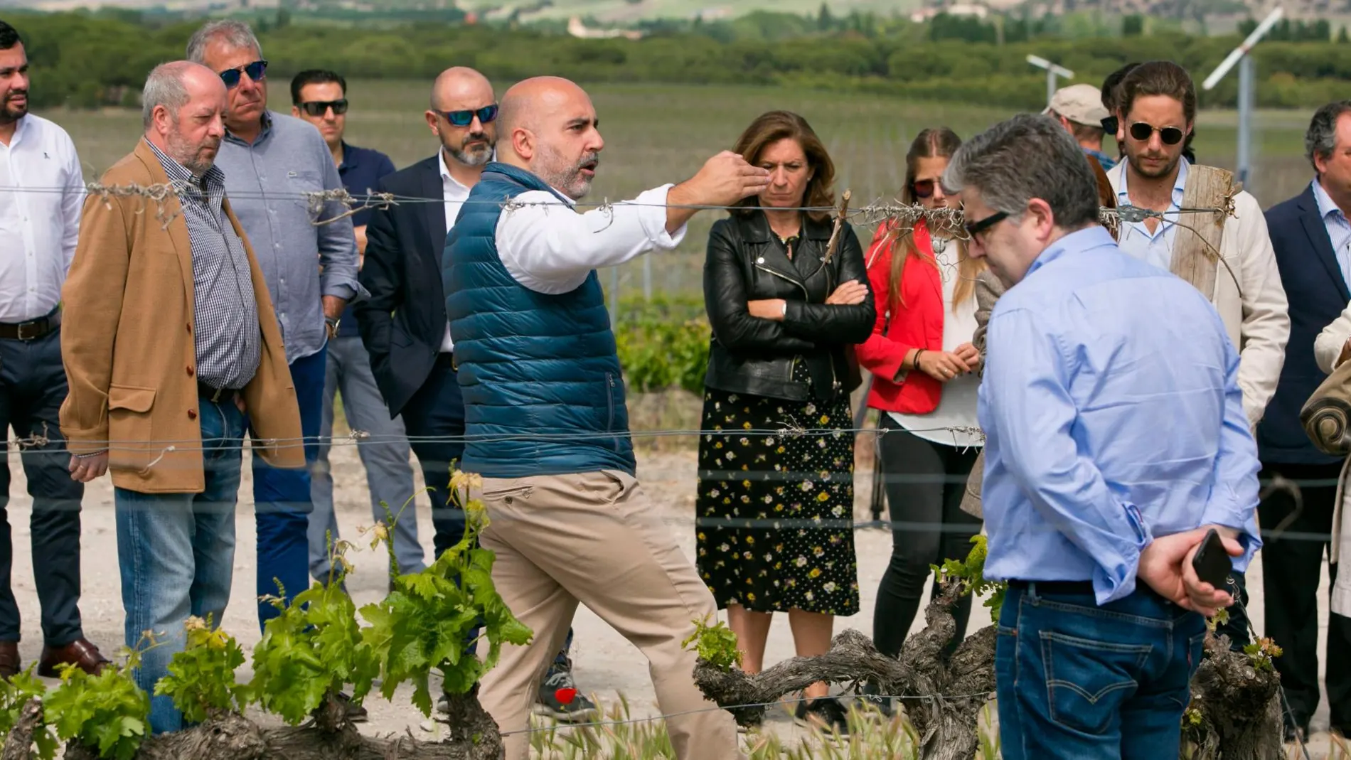 Participantes en el encuentro regional celebrado en los viñedos de Sardón de Duero