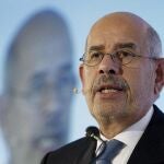 Imagen de archivo del premio Nobel de la Paz y activista opositor egipcio, Mohamed El Baradei