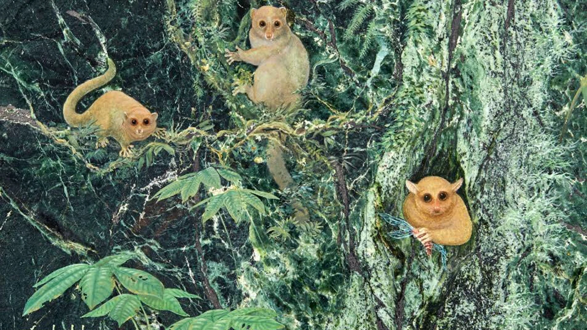 Identifican tres especies de primates extintos desconocidos para la ciencia
