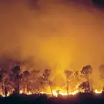  Estabilizado el fuego del Empordà tras arrasar 1.000 hectáreas