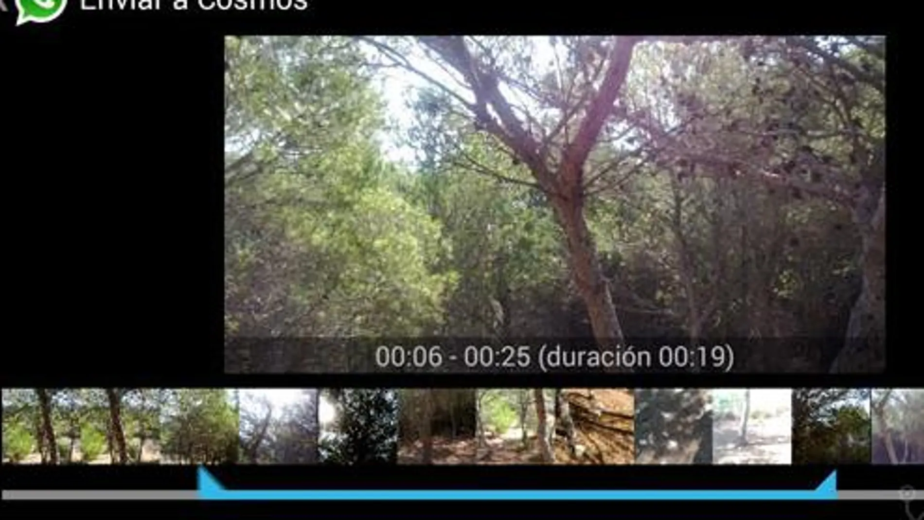 WhatsApp para Android se actualiza e incluye un editor de vídeo