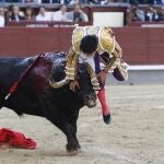 Sergio Flores resultó cogido por el toro de su confirmación