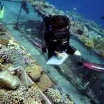 La investigadora Jessica Bellworthy trabaja en el estudio sobre la salud del coral. Los corales del Mar Rojo, en el Golfo de Áqaba, y sus descendientes son capaces de sobrevivir al aumento de la temperatura del agua / Efe