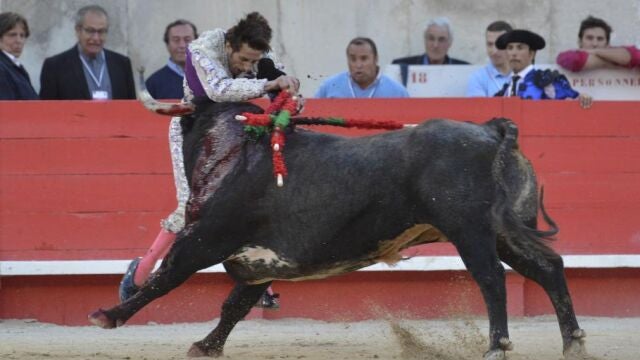 El toro de Miura prendió a David Adalid contra las tablas y le infirió una cornada de dos trayectorias en el gemelo derecho