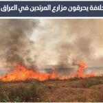 Daesh ha pedido a los "lobos solitarios"que provoquen incendio en los bosques de los "infieles"