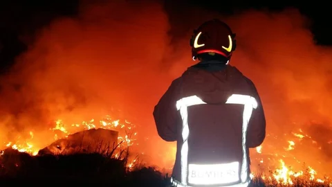 Al lugar se desplazaron bomberos de Silla, Cullera, Catarroja, Torrent y Alzira