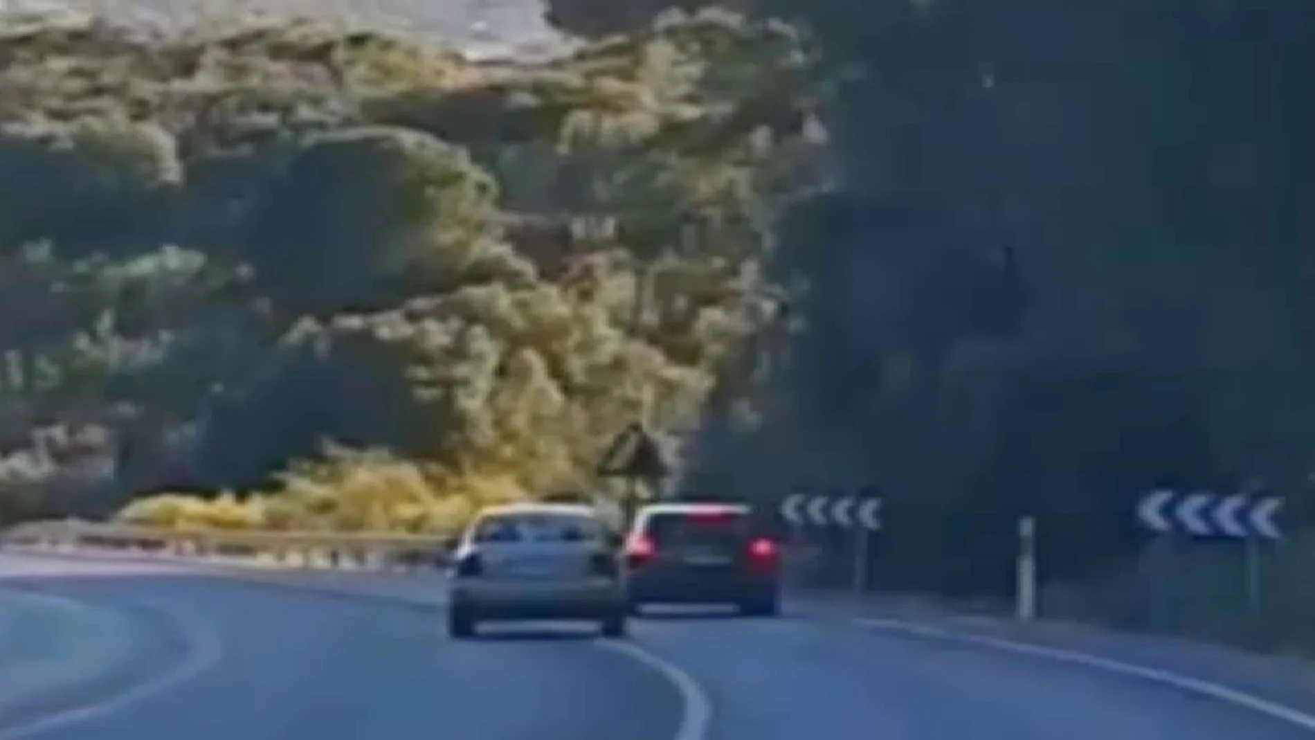 El conductor desafía los que vienen de frente / Vídeo: Atlas