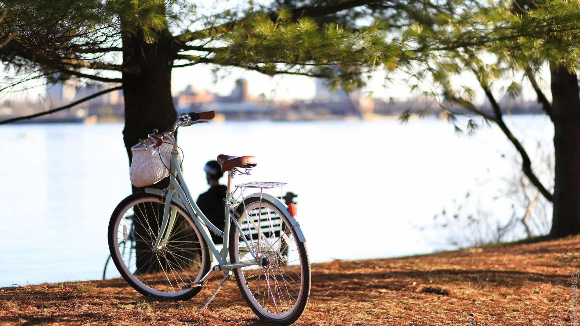 Día Mundial de la bicicleta: 4 beneficios de montar en bici