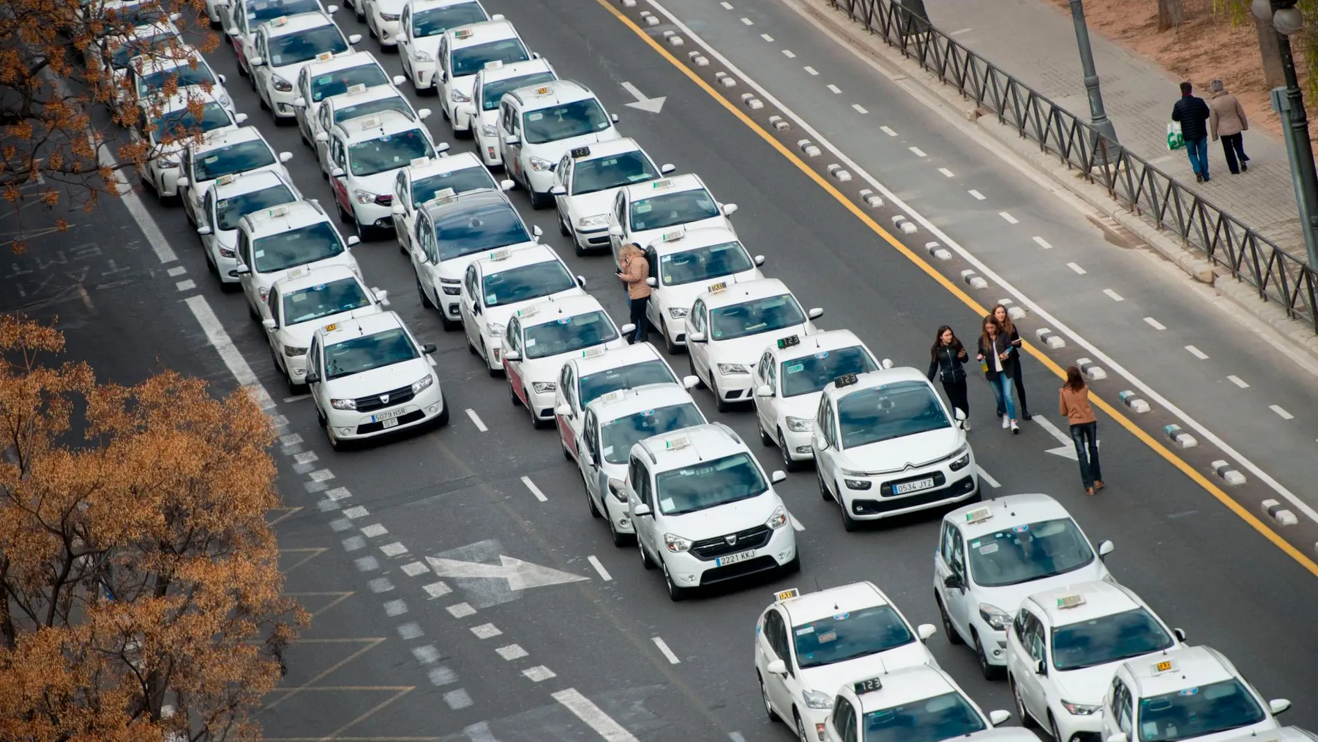 Los taxis realizaron paros en Valencia en señal de protesta por el decreto del Consell