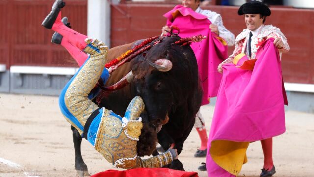 Cogida al diestro valenciano Román hoy en Las Ventas. (Foto: Jesús G. Feria)
