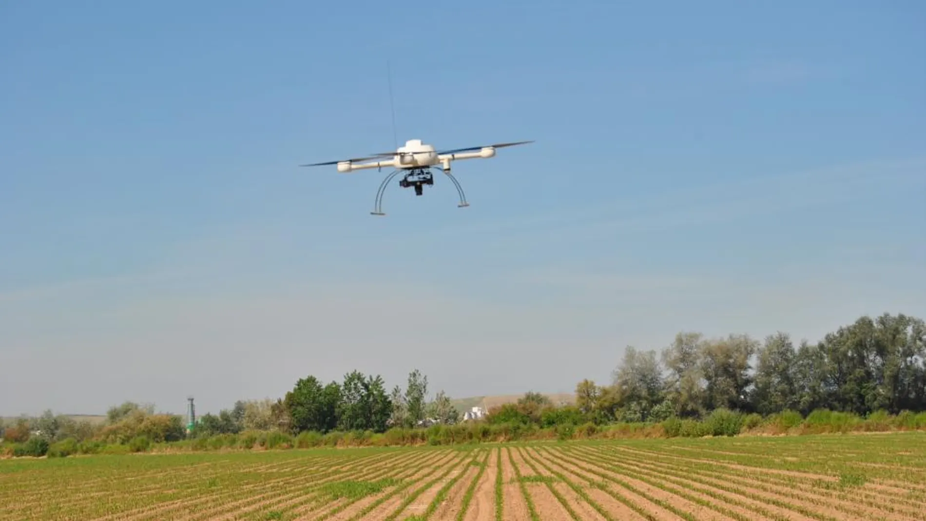 Uno de los drones sobrevolando un campo de maíz