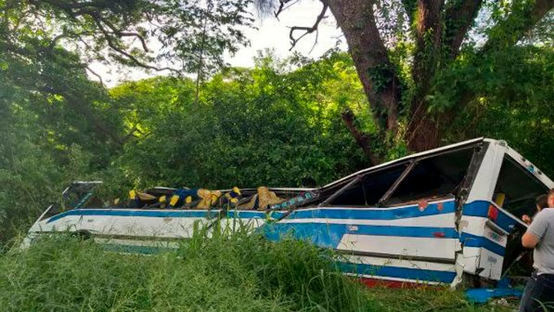 El autobús cubría la ruta San Cristóbal-Maracaibo en Venezuela / Twitter