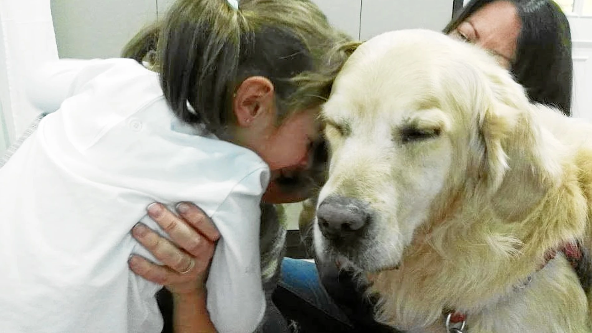 Terapias con perros para menores con Trastorno del Espectro Autista o discapacidad intelectual